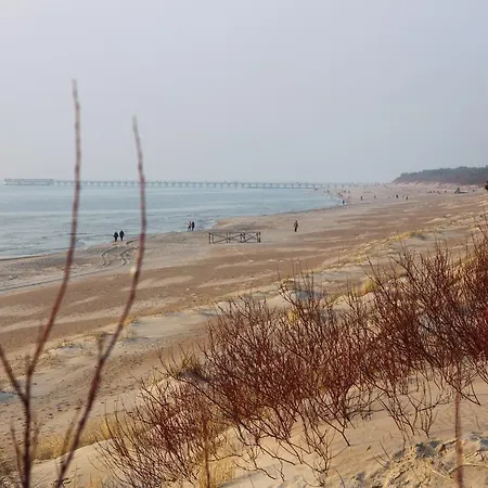 Forest Apartamento *