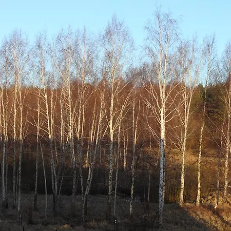 Forest Lejlighed