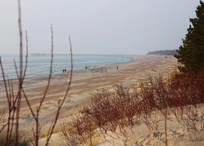 Forest Appartement *