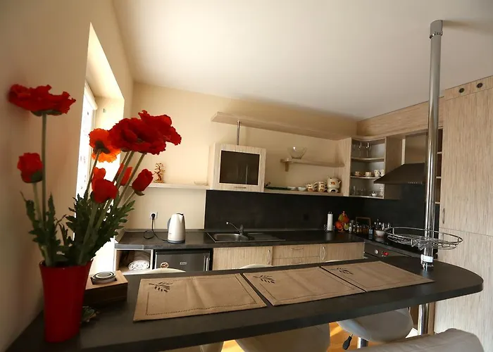 Forest * פלאנגה