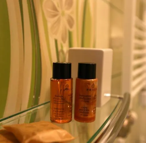 Forest * פלאנגה